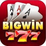 BigWin 777 logo