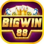 BigWin88 casino logo