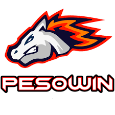 PesoWin logo